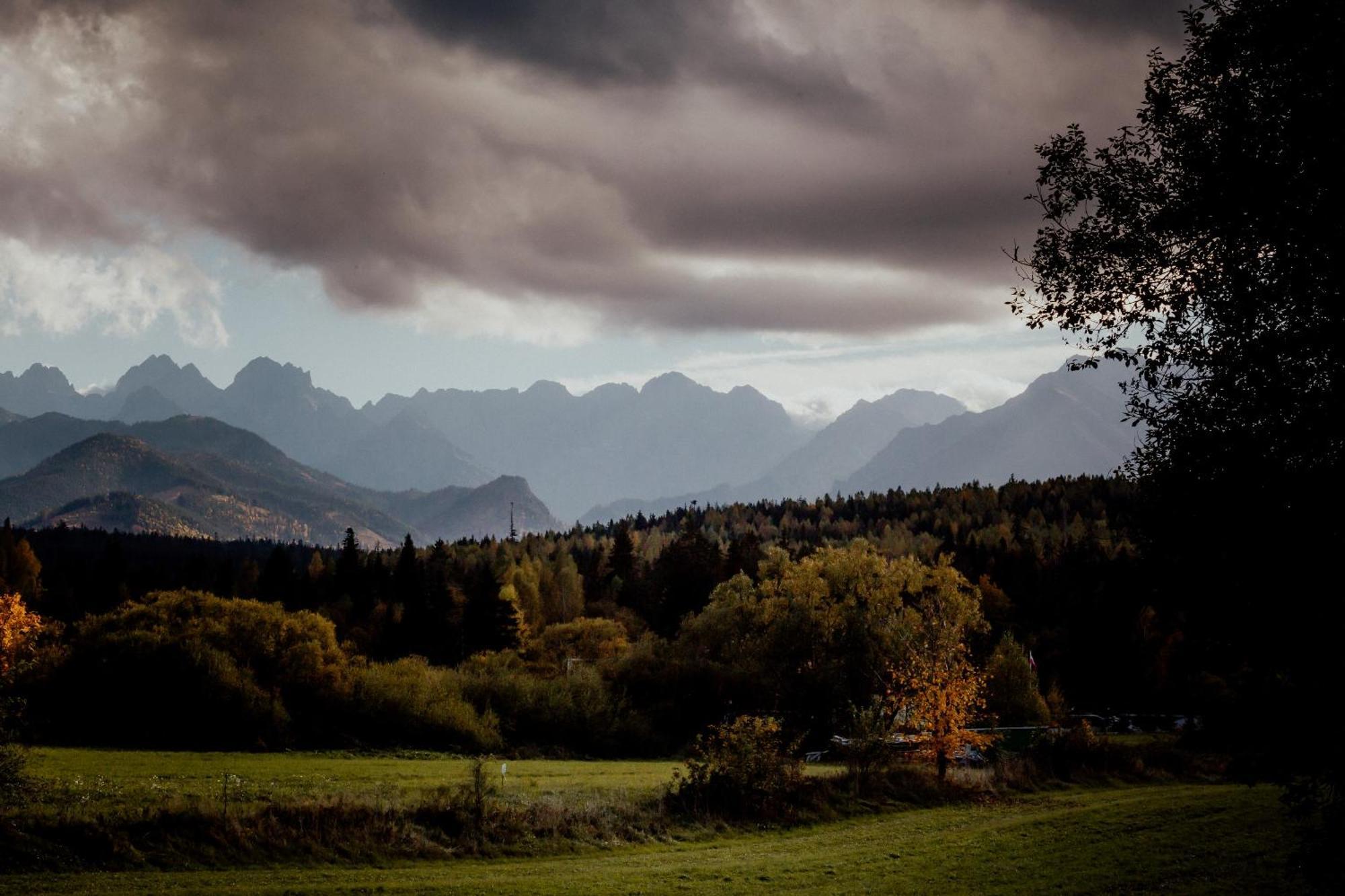 Domki W Gorach "U Misia" Jurgów Exteriör bild